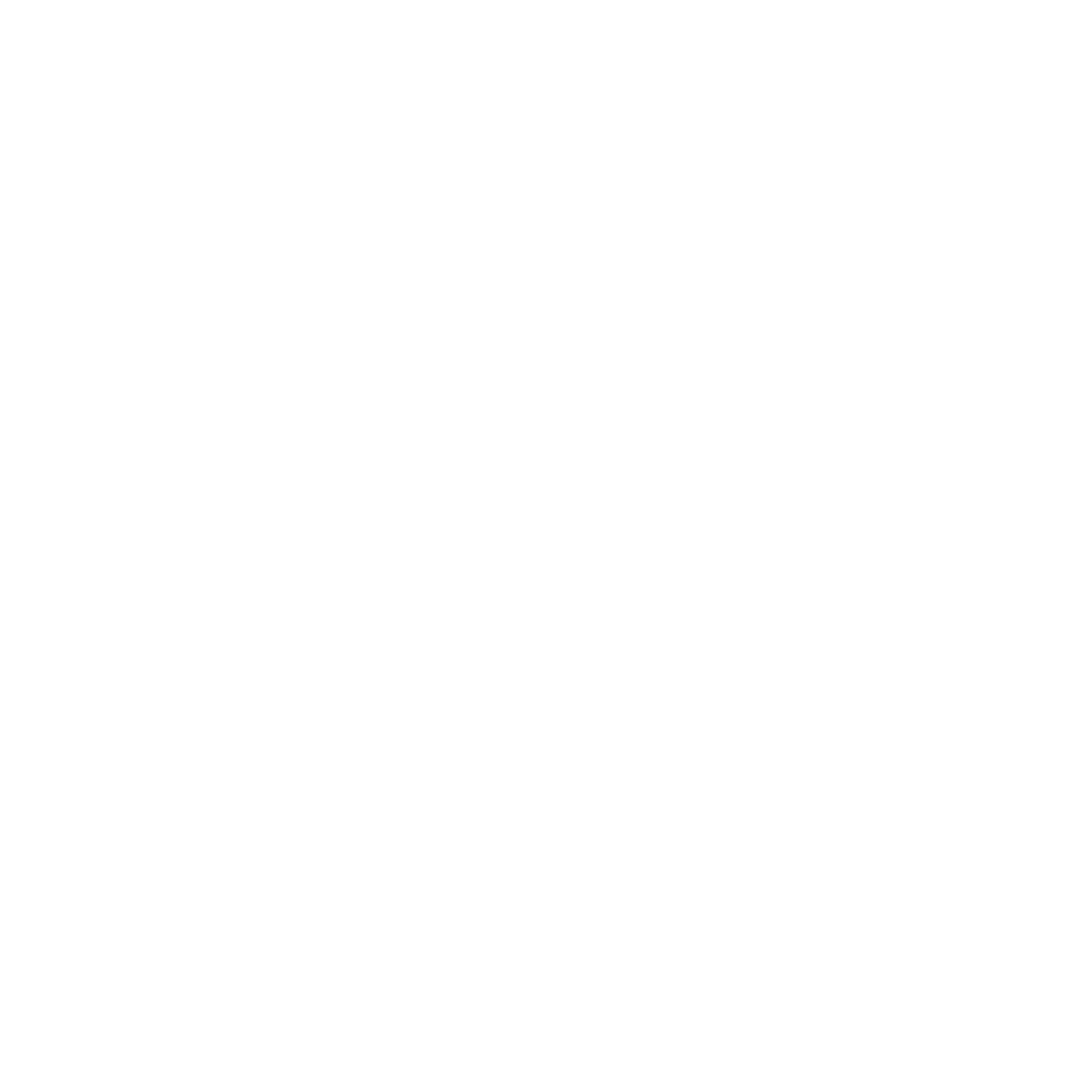 Logo-instagram-png-blanc