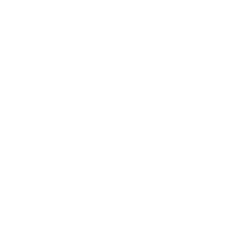 icons8-facebook-nouveau-500